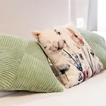 Venus Allbnb 게스트하우스 4*